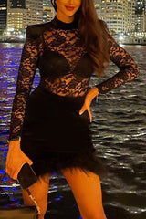 Worth Appreciating Lace Velvet Patchwork Feather Trim Mini Dress