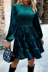 Elegant Velvet Round Neck Long Sleeve Mini Dress