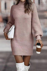 Rieuh Turtleneck Long Sleeve Knitted Mini Dress