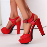 Alisson Elegant Buckle Closure High Heel