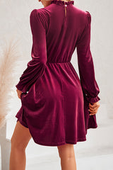 Turtleneck Long Sleeve Velvet Mini Dress
