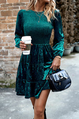 Elegant Velvet Round Neck Long Sleeve Mini Dress
