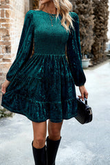 Elegant Velvet Round Neck Long Sleeve Mini Dress