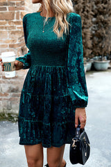Elegant Velvet Round Neck Long Sleeve Mini Dress