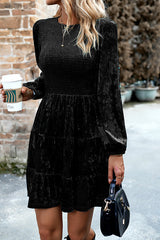 Elegant Velvet Round Neck Long Sleeve Mini Dress