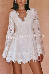 Diaz Embroidery Hollow Fabric Delicate Flower Trim Long Sleeve Side Lace-up Mini Dress