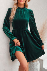 Turtleneck Long Sleeve Velvet Mini Dress