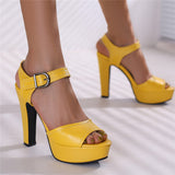 Alisson Elegant Buckle Closure High Heel